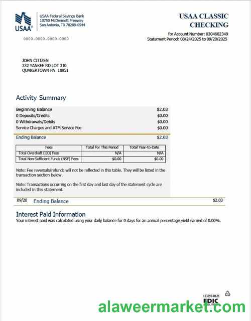 USAA Federal Savings Bank statement Word and PDF template, version 2